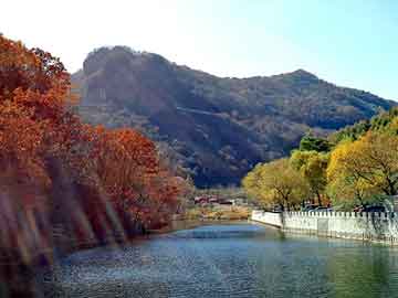 澳门期期准免费精准，丰田花冠论坛